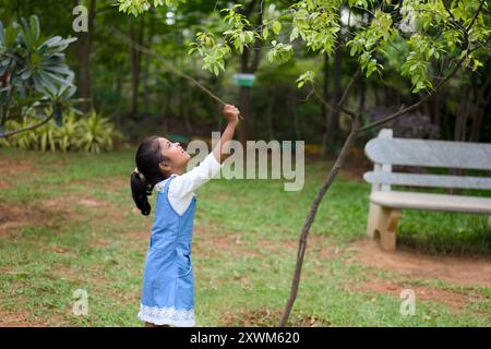 Giovane ragazza che si avvicina per toccare le foglie su un ramo d'albero in un parco soleggiato. Foto Stock