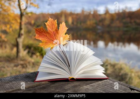 foto d'atmosfera stagionale. foglia di acero giallo-arancio tra le pagine di un libro aperto in una giornata di sole Foto Stock