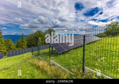 Pannelli fotovoltaici installati su un prato verde, elettricità a buon mercato per la famiglia Foto Stock