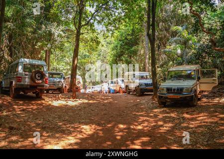 GOA, India - 28 febbraio 2024: Parcheggio di jeep nella giungla. Escursione Foto Stock