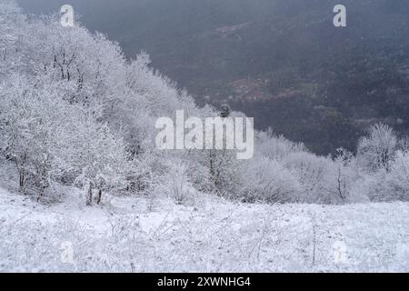 Vista rialzata della foresta montana dopo un'insolita nevicata nei primi giorni della primavera di aprile, Alpi Liguri, Provincia di Imperia, Italia Foto Stock