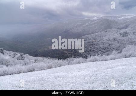 Foresta di montagna dopo un'insolita nevicata nei primi giorni della primavera di aprile, Alpi Liguri, Provincia di Imperia, Italia Foto Stock