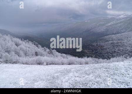 Foresta di montagna dopo un'insolita nevicata nei primi giorni della primavera di aprile, Alpi Liguri, Provincia di Imperia, Italia Foto Stock