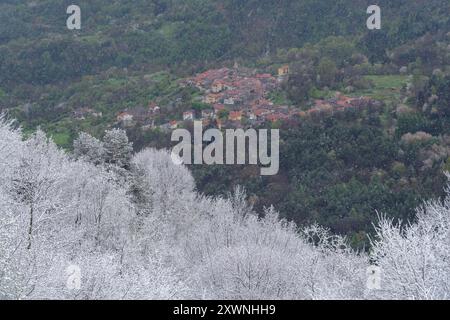 Vista rialzata della foresta montana dopo un'insolita nevicata nei primi giorni della primavera di aprile, Alpi Liguri, Provincia di Imperia, Italia Foto Stock