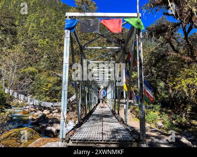 Vista posteriore di un uomo che attraversa una passerella in metallo, escursione al campo base di Jomolhari (Chomholari Trek), Parco Nazionale di Jigme Dorje, Bhutan Foto Stock