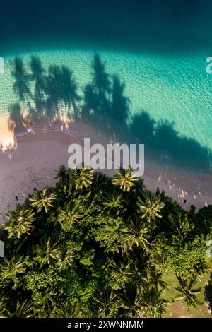 Vista aerea di palme su una spiaggia tropicale, isola di Samaleko (Pulau Samaleko), Sumatra settentrionale, Indonesia Foto Stock