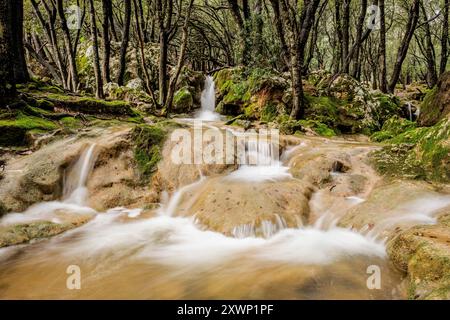 Torrent de Coanegra, cascata es Freu, Orient, Bunyola, Maiorca, isole Baleari, Spagna Foto Stock