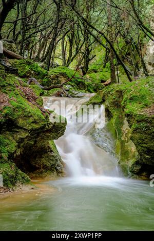 Torrent de Coanegra, cascata es Freu, Orient, Bunyola, Maiorca, isole Baleari, Spagna Foto Stock