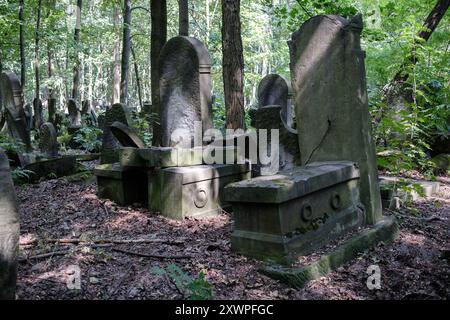 Vista del cimitero ebraico di Varsavia, risalente al 1806, con tombe di importanti ebrei polacchi e tombe comuni di quelli massacrati durante la seconda guerra mondiale Foto Stock