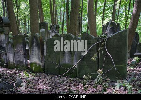 Vista del cimitero ebraico di Varsavia, risalente al 1806, con tombe di importanti ebrei polacchi e tombe comuni di quelli massacrati durante la seconda guerra mondiale Foto Stock