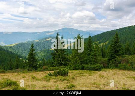 collinare della catena montuosa con foresta di conifere e prato alpino. nuvole nel cielo Foto Stock