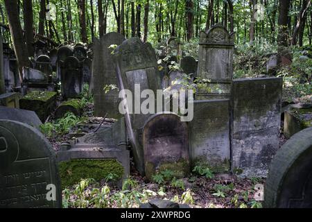 Madrid, Spagna. 20 agosto 2024. Vista del cimitero ebraico di Varsavia, risalente al 1806, con tombe di eminenti ebrei polacchi e tombe comuni di quelli massacrati durante la seconda guerra mondiale. Varsavia, 20 agosto 2024 Polonia Credit: SIPA USA/Alamy Live News Foto Stock