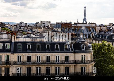 Tetti di Parigi con la Torre Eiffel sullo sfondo Foto Stock