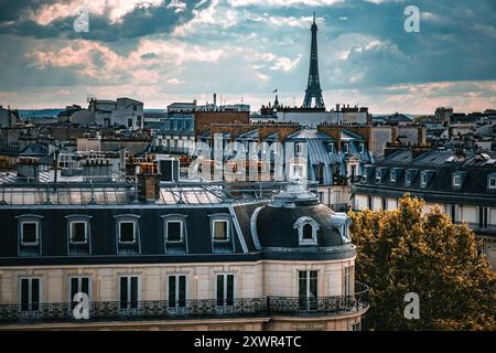 Tetti di Parigi con la Torre Eiffel sullo sfondo Foto Stock