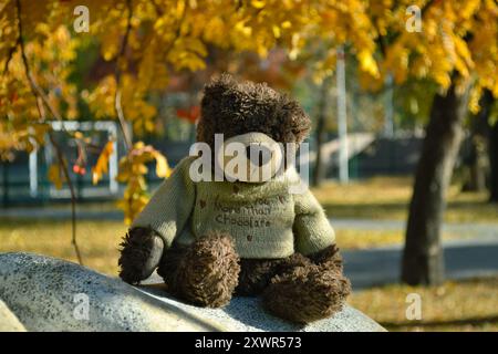 Nel parco autunnale, l'orsacchiotto da vicino si trova su una pietra Foto Stock