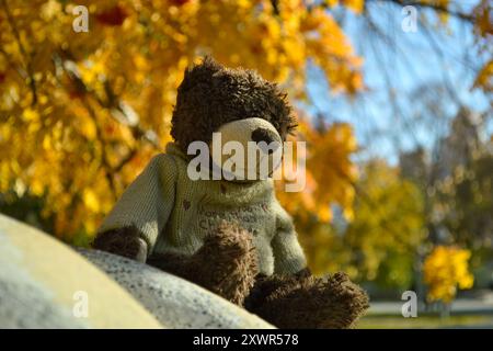 Nel parco autunnale, l'orsacchiotto da vicino si trova su una pietra Foto Stock