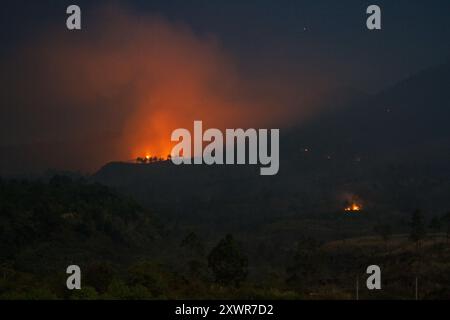 Garut, Giava Occidentale, Indonesia. 20 agosto 2024. Un incendio nella foresta che brucia vicino al Monte Guntur. L'incendio sta bruciando da ieri, 19 agosto 2024, sedici ettari di vegetazione bassa e foreste sono stati bruciati. (Credit Image: © Algi February Sugita/ZUMA Press Wire) SOLO PER USO EDITORIALE! Non per USO commerciale! Foto Stock