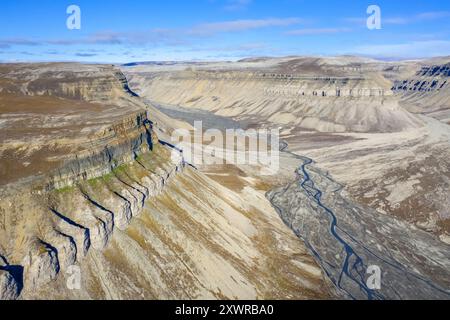 Vista aerea sul delta del fiume a Skansbukta nell'esterno Billefjorden / Billefjord, a sud-est di Dickson Land, Svalbard / Spitsbergen, Norvegia Foto Stock