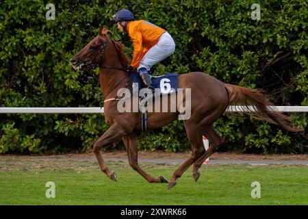 Windsor, Berkshire, Regno Unito. 19 agosto 2024. LA GLORIA NORDICA guidata dal fantino William Carson vince la Free Digital Racecard alle Raceday-Ready.com handicap Stakes (Classe 6) presso l'ippodromo Royal Windsor di Windsor, Berkshire, durante la gara di Monday Night Races Final Fiesta. Proprietario dare to Dream Racing, allenatore Michael Attwater, Epsom, allevatore Kangyu International Racing, Sponsor daretodreamracing.co.uk. Crediti: Maureen McLean/Alamy Live News Foto Stock