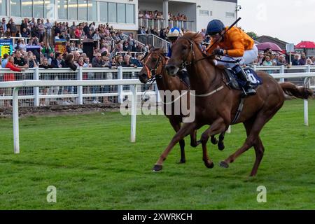 Windsor, Berkshire, Regno Unito. 19 agosto 2024. LA GLORIA NORDICA guidata dal fantino William Carson vince la Free Digital Racecard alle Raceday-Ready.com handicap Stakes (Classe 6) presso l'ippodromo Royal Windsor di Windsor, Berkshire, durante la gara di Monday Night Races Final Fiesta. Proprietario dare to Dream Racing, allenatore Michael Attwater, Epsom, allevatore Kangyu International Racing, Sponsor daretodreamracing.co.uk. Crediti: Maureen McLean/Alamy Live News Foto Stock