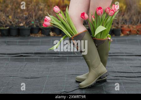 Donna con stivali di gomma che cammina attraverso la serra con splendidi tulipani in stivali. Foto Stock