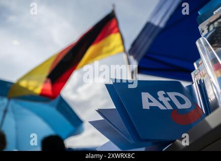 Erfurt, Germania. 20 agosto 2024. Il materiale per le elezioni AFD è in mostra a uno stand. Un nuovo parlamento statale sarà eletto in Turingia il 1° settembre. Crediti: Hannes P. Albert/dpa/Alamy Live News Foto Stock