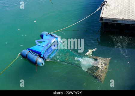 Dispositivo automatico per la raccolta dei rifiuti con sacco di rete nell'acqua del canale interno del porto, piano del porto sano, Mediterraneo, Cannes, Francia Foto Stock