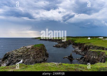 Maltempo in arrivo, tempesta di tuoni, nuvole pesanti, area di osservazione delle pulcinelle di mare, Maberly, Elliston, Terranova, Canada, pulcino Atlantico, Fratercula arctica Foto Stock