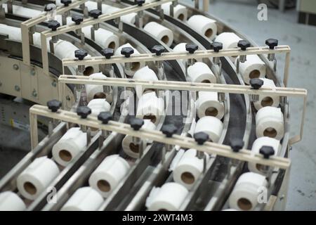 Vista ravvicinata di una linea di produzione automatizzata che produce rotoli di carta igienica in fabbrica. L'immagine trasmette efficienza, industria e concetto di produzione di massa negli ambienti di produzione moderni. Foto Stock