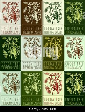 Set di vettoriali che disegnano L'ALBERO DI CACAO in vari colori. Illustrazione disegnata a mano. Il nome latino è THEOBROMA CACAO L. Illustrazione Vettoriale