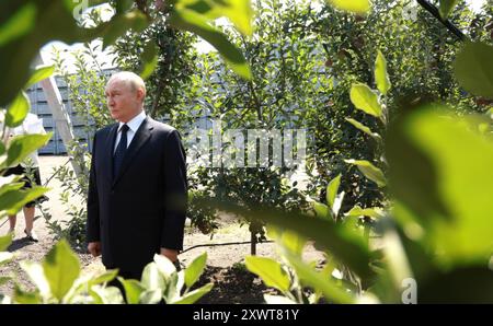 Germenchik, Russia. 20 agosto 2024. Il presidente russo Vladimir Putin vede i frutteti di mele all'impresa agricola Agro-07, 20 agosto 2024 a Germenchik, Kabardino-Balkaria, Russia. Crediti: Vyacheslav Prokofyev/piscina del Cremlino/Alamy Live News Foto Stock