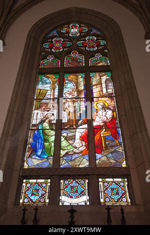 Catedral Sao Pedro de Alcantara, Petrópolis, Brasile Foto Stock