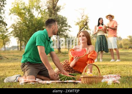 Giovane che taglia l'anguria con i suoi amici al picnic nel parco Foto Stock