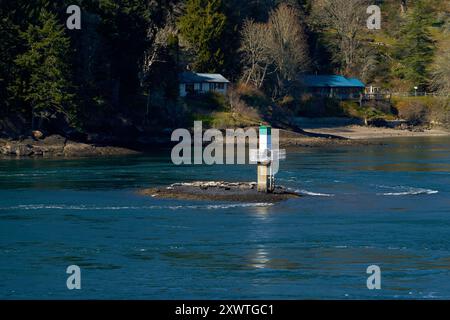 Marcatore di navigazione per le foche delle isole del Golfo. Le foche si trascinarono sulle rocce di un aiuto alla navigazione nelle isole del Golfo vicino a Victoria, Columbia Britannica, Canada Foto Stock