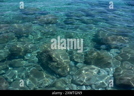 vista dall'alto attraverso l'acqua limpida. Le rocce si trovano sul fondo del mare. Il sole si riflette nelle dolci onde. L'acqua è blu e forma uno sfondo. Foto Stock