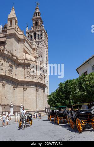 Tradizionale carrozza a cavalli che aspetta i turisti di fronte alla cattedrale di Siviglia e al suo iconico campanile, Andalusia, Siviglia, Spagna Foto Stock