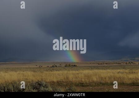 Un arcobaleno sta attraversando le nuvole di Jackson Hole Valley, Wyoming. Foto Stock