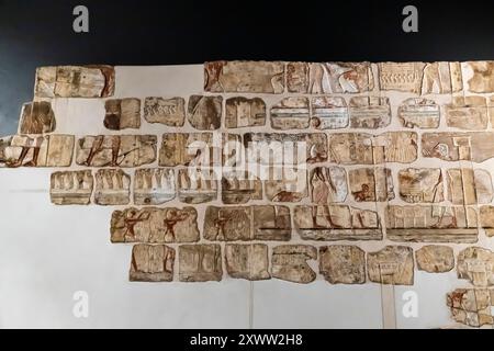 Museo di Luxor, muro del re Amenofi IV (Akhenaton), dal tempio di Karnak e Luxor, rilievi e blocchi di pietra dipinta, Luxor, Egitto, Nord Africa, Africa Foto Stock