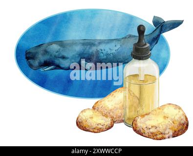 Ambergris, ambre gris, ambergrease o ambra grigia. Illustrazione acquerello. Un ingrediente nei profumi e nelle composizioni aromatiche. Prodotto di digestione di Foto Stock