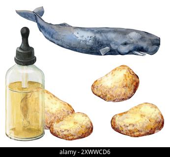 Ambergris, ambre gris, ambergrease o ambra grigia. Illustrazione acquerello. Un ingrediente prezioso e raro nei profumi e nelle composizioni aromatiche. Diges Foto Stock