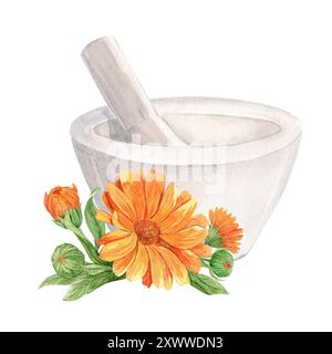 Mortaio bianco per erbe e fiori di calendula. Preparazione di tè alle erbe, tonico. Il concetto di fitoterapia, laboratorio. Composizione per l'etichetta des Foto Stock