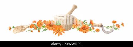 Malta in legno per erbe e fiori di calendula. Preparazione di tè alle erbe, tonico. Il concetto di fitoterapia, laboratorio. Composizione per l'etichetta de Foto Stock