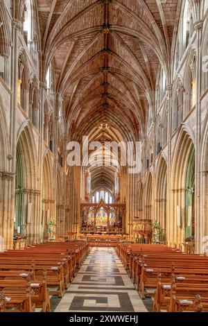 The nave in Worcester Cathedral, Worcester, Worcester, Inghilterra Foto Stock