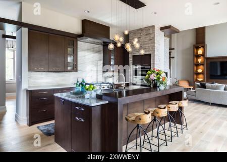 Moderna cucina in legno scuro con vista sul soggiorno Foto Stock
