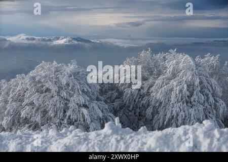 Paesaggio delle montagne dei Vosgi sotto la neve durante il freddo inverno scivola il 10 gennaio 2024. Alberi ricoperti di gelo e neve. Paesaggio dalla strada Foto Stock