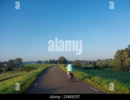 una donna cavalca in bicicletta a ooijpolder vicino a nijmegen nei paesi bassi durante l'alba al mattino presto Foto Stock