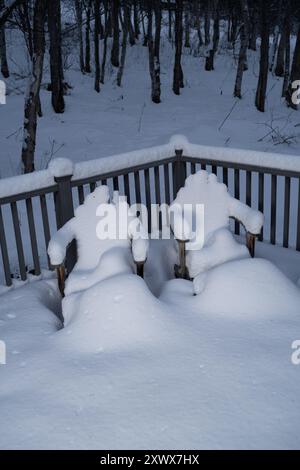 Le sedie coperte di neve su un ponte sembrano essere sedute per due persone. L'immagine cattura una scena serena e invernale in una foresta. Suggerisce metaforicamente la quiete e il passare del tempo. Foto Stock