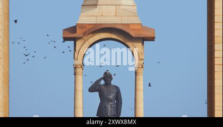 Delhi, India. Uccelli che volano intorno alla Statua di Subhas Chandra Bose. La statua di Netaji, è una statua monolitica in granito nero, dedicata a Netaji Foto Stock