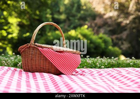 Un cestino da picnic in vimini con tovagliolo a scacchi e coperta sull'erba verde. Spazio per il testo Foto Stock