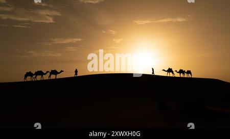 Silhouette di uomo berbero non identificato che conduce un cammello attraverso le dune di sabbia al tramonto nel deserto del Sahara, in Marocco Foto Stock